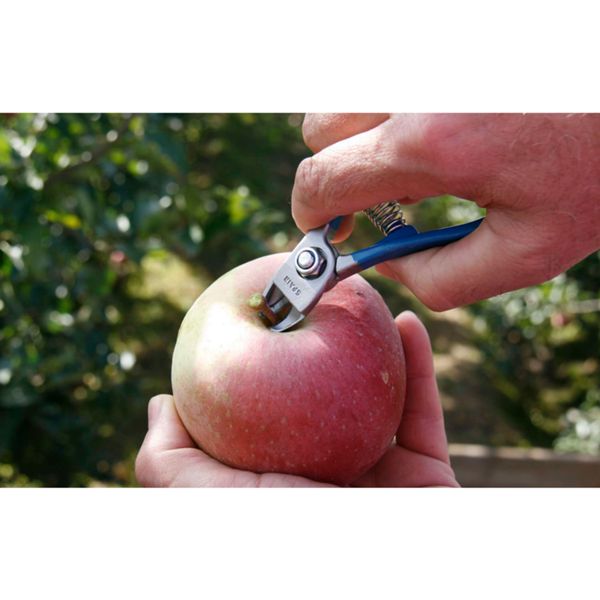 SHEARS HARVESTING BY-PASS CLIPPER EXTRA-FINE CONCAVE 5 mm (0.2 in)