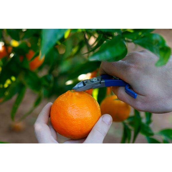 SHEARS HARVESTING CITRUS FRUITS 5 mm (0.2 in)