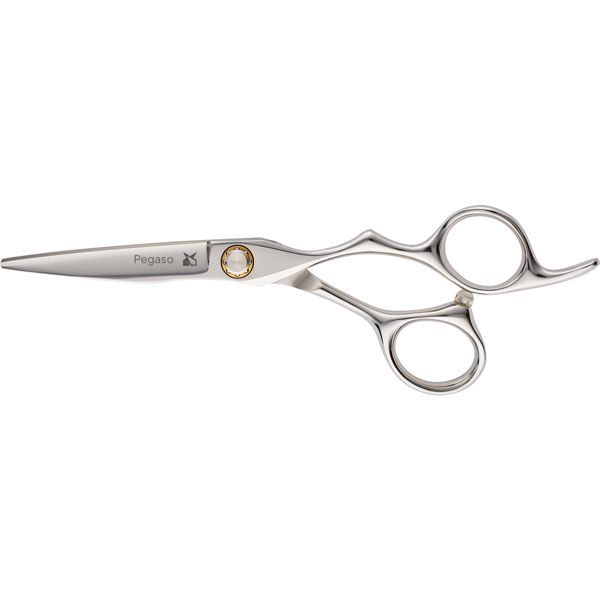 CUTTING SCISSORS LEADER PEGASO