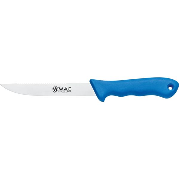 FISHING KNIFE, FILLETING, S/S bld 15 CM, WIDE w/SCALING, PLASTIC hdl: BLU, +SHEATH