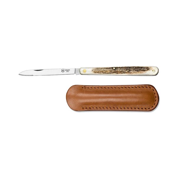 TASTING KNIFE - ONLY BLADE - PLAIN EDGE, REAL DEER HORN hdl - 12 CM , SINGLE BOX PACKAGE