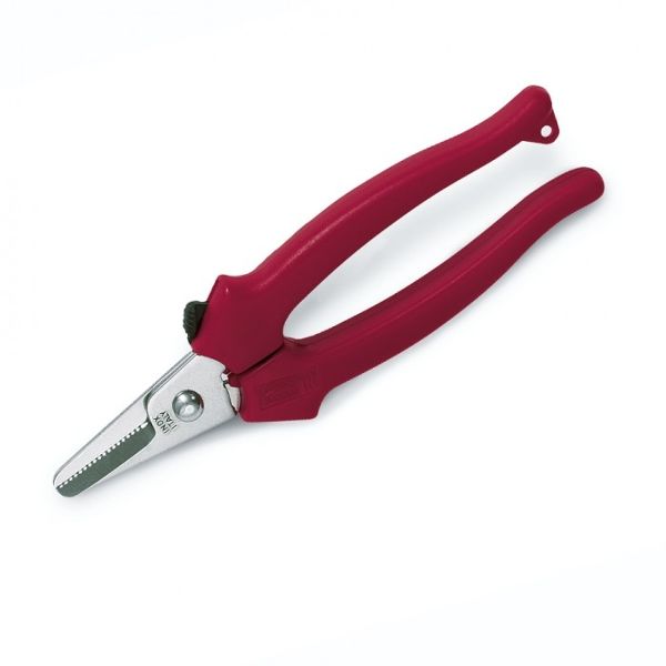 Art. 18 inox - GRAPE SHEARS STAINLESS STEEL, MOQ 12 pcs, pkg BLISTER