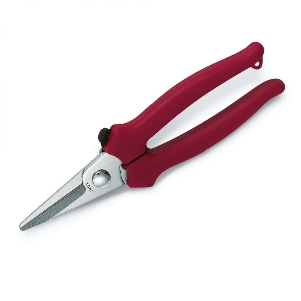 Art. 20 inox - GRAPE SHEARS STAINLESS STEEL, MOQ 12 pcs, pkg BLISTER