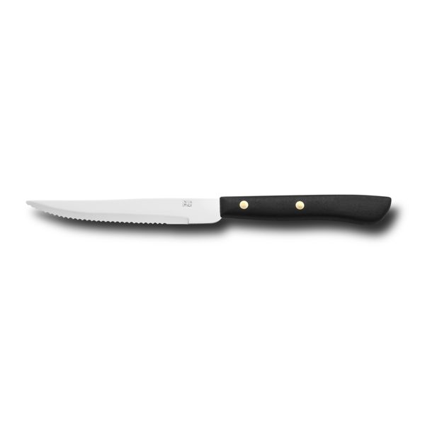 KITCHEN KNIFE EASY CUT, STEAK KNIFE CM 12, MIRROR POLISHED/SATIN FINISH bld, AISI 420 STAINLESS STEEL bld,  BLACK Atoxic Plastic hld