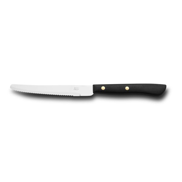 KITCHEN KNIFE EASY CUT, TABLE KNIFE CM 12, MIRROR POLISHED/SATIN FINISH bld, AISI 420 STAINLESS STEEL bld,  BLACK Atoxic Plastic hld